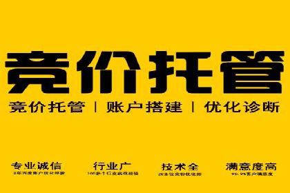 某科技公司通过百度推广引领行业创新发展